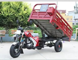 Triciclo Eléctrico de Carga con Parabrisas, Carrocería Abierta de 3 Ruedas para Transporte de Productos Agrícolas, Gran Capacidad de Carga - Product Image 5