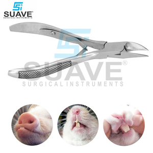 Instruments de coupe-dent de porc nouveau style de coupe-dent de porc ensemble d'équipement vétérinaire par SUAVE INSTRUMENTS CHIRURGICAUX - Product Image 1