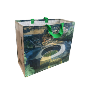 Bolsas de comestibles de lona tejidas PP con logotipo personalizado hecho en Vietnam, superventas, bolsas de compras al por mayor para vacaciones - Product Image 3