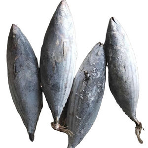 Pescado Gema Congelado IQF de Aguas Profundas, Alto en Proteínas, Carne Blanca, Calidad Premium, Suministro a Granel para Restaurantes, Exportación, Limpio, Envasado, Bajo en Carbohidratos - Product Image 1