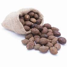 ถั่วมอลวาจากเวียดนามรองรับทั้งเมล็ดและระบบภูมิคุ้มกันตามธรรมชาติ - Product Image 2