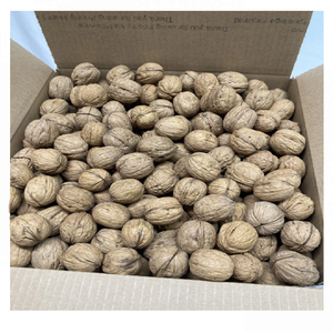 Núcleos de Nuez Claro Seleccionados a Mano, Calidad Premium, Proveedor de Exportación a Granel - Product Image 2