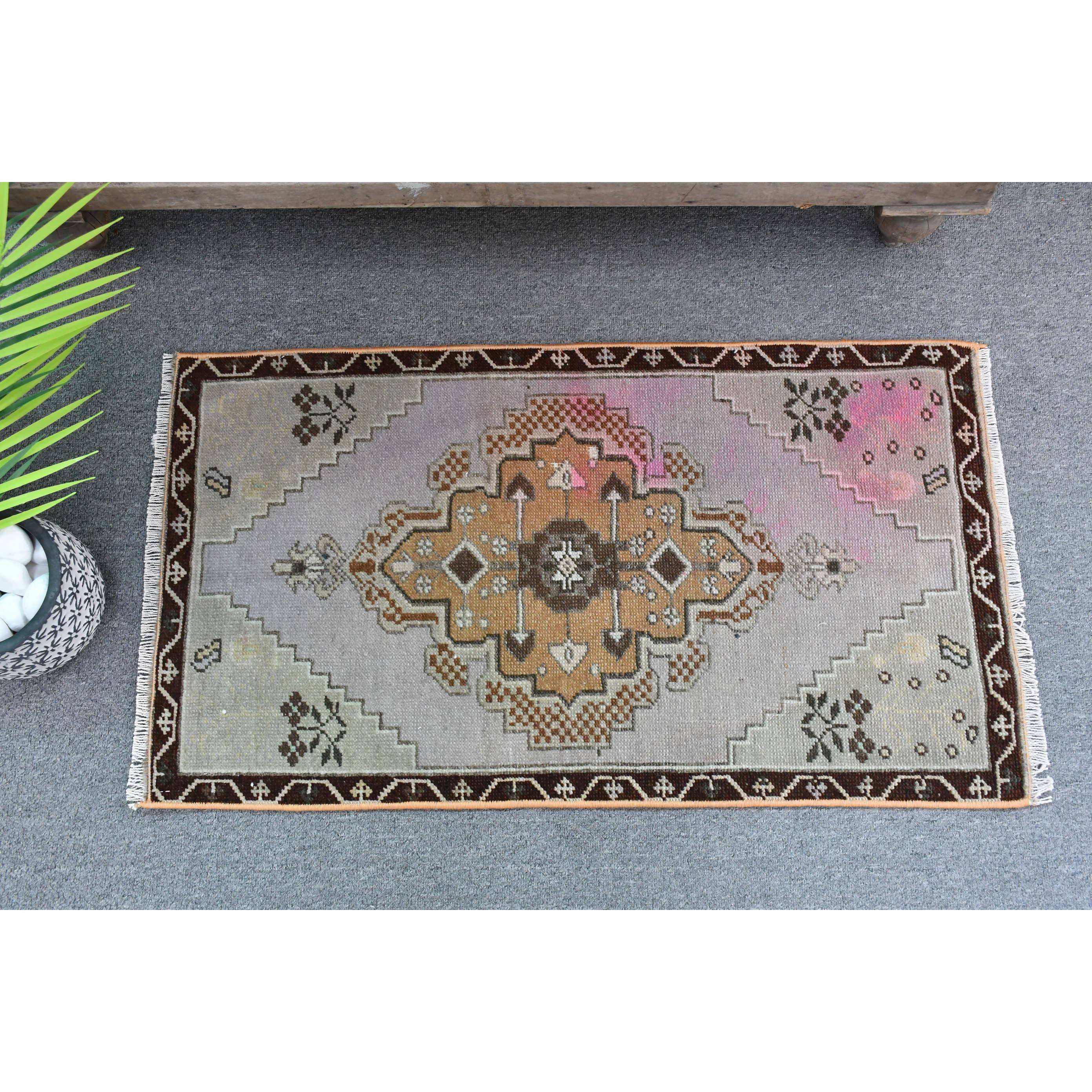 สีน้ำตาล