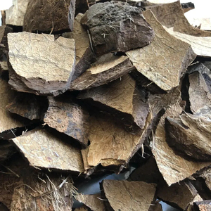 Cáscaras de Coco Rotas 100% Naturales y Virutas de Cáscara de Coco Triturada de Origen Vietnamita para la Elaboración de Carbón Vegetal a Precio Mayorista Económico - Product Image 2