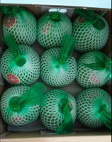 Verse Groene Huid Pomelo Grapefruit Citrus Export Wereldwijd Beste Kwaliteit Gezond Van Zuid-Mekong Fabrikant + 84786436556