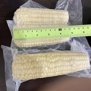 Maíz dulce IQF amarillo delicioso de alta calidad entero 18-20cm maíz congelado - Product Image 1