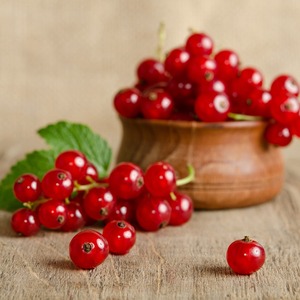 ลูกเกดสดหวานสดใหม่พร้อมซื้อจำนวนมากในราคาโรงงานที่ไม่แพง - Product Image 5