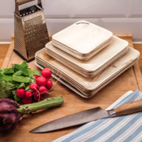 Assiettes carrées jetables écologiques biodégradables en fibre d'arec, tailles 4"-10" pour Noël, anniversaires, Diwali, fêtes, voyages et bars