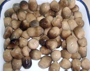 Meilleures ventes de champignons en paille cultivés au Vietnam dans des conserves de nourriture cultivées en saumure emballées dans un sac - Product Image 1