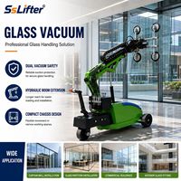 Machine mobile d'installation de vitres de 800 kg avec une hauteur de levage de 5 m pour la construction et la vitrerie