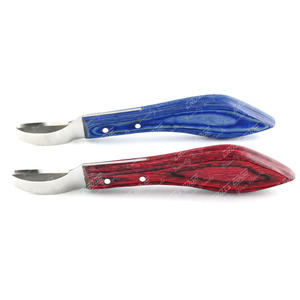 Venta al por mayor herramientas herrador bucle grande Sharpe hoja de acero inoxidable resistente a la oxidación equipo quirúrgico veterinario cuchillo Farrie - Product Image 1