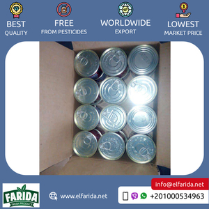 Chất lượng hàng đầu gia vị & gia vị Sản phẩm bán số lượng lớn tự nhiên ngon cà chua dán 28% 30% từ Ai Cập nguồn gốc nhà sản xuất - Product Image 2