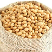 Vente en gros de soja biologique non-OGM, soja jaune, graines de soja