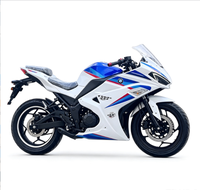 Moto électrique à deux roues 3000W de haute qualité, style tendance en Amérique, performances fiables pour usage domestique, transport royal, vente chaude