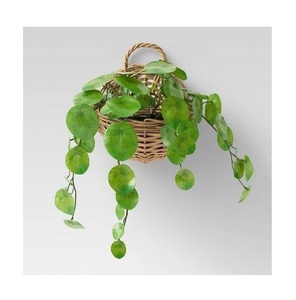 Jardinière murale ronde élégante de haute qualité Le design contemporain ajoute une touche sophistiquée et tendance à toute maison ou bureau - Product Image 3