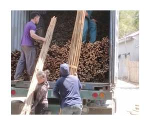 Bastón de bambú ecológico, venta al por mayor, material natural de alta calidad de exportación de fábrica de Vietnam - Product Image 5