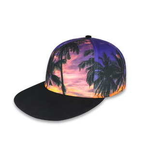 Gorra de Béisbol de 6 Paneles con Cierre a Presión, Personalizable con Impresión a Color, Cantidad Mínima Pequeña, Nueva Moda Unisex Hip-hop - Product Image 1