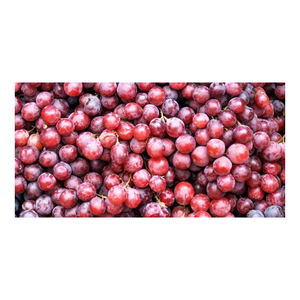 Uvas Frescas Dulces y Jugosas para Suministro al por Mayor - Product Image 5