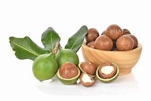 VEGAN FRIENDLY MACADAMIA NUTS RICO EN OMEGA CORAZÓN SALUD LIMPIA ETIQUETA - Product Image 6