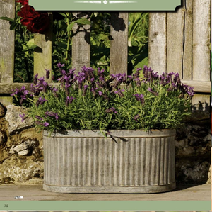 Jardinières à godets en acier galvanisé avec trous de drainage pour fleurs avec poignées - Product Image 5