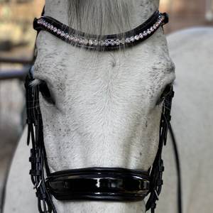 Bride en cuir véritable de haute qualité 2019 en cuir de cheval Bride en cuir de haute qualité - Product Image 2