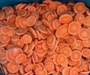 TRANCHE DE CAROTTES CONGELÉES VIETNAMIENS 100% NATUREL SANS RISQUE SANS CONSERVATEURS - Product Image 1