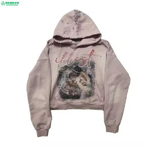 Sweat-shirts à capuche unisexes grande taille, fabricants de sweats-shirts personnalisés, 360 g/m², polaire/tissu éponge français, 100% coton, sweat-shirt d'hiver écologique - Product Image 4