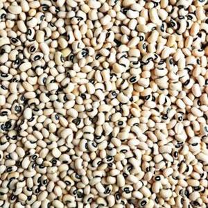 Haricots noirs séchés naturels de qualité export pour repas végétariens riches en protéines, régime alimentaire et cuisine indienne, à prix réduit - Product Image 1