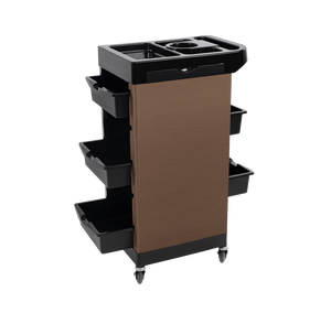 पेशेवर सैलून ट्रॉली पहियों हेयरड्रेसिंग ब्यूटी सैलून उपकरण - Product Image 5