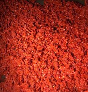 ARIL DE FRUTA GAC CONGELADA, ACEITE DE FRUTA GAC NATURAL, EXTRACTO NATURAL DE VIETNAM, PRENSADO EN FRÍO, ALTO CONTENIDO DE LICOPENCOS, ESTÁNDAR - Product Image 1