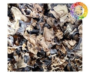 Hongo de la Oreja Seco Directo, Hongo de la Oreja Natural, Exportación al por Mayor, Mejor Valor, Hongo Negro Seco, Calidad Premium - Product Image 6