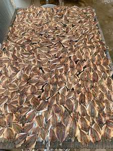 Dried Yellow Stripe Scad, <b>Marinated</b> Yellow Stripe Scad Dried Seasoned Yellowstripe Scad Trevally Roasted FROM VIETNAM - Product Image 4