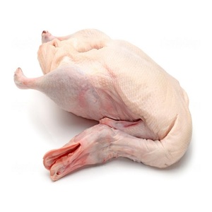 En Stock, carne de pato entera congelada Premium, cortes listos para exportación para mayoristas y compradores que buscan una calidad constante - Product Image 5