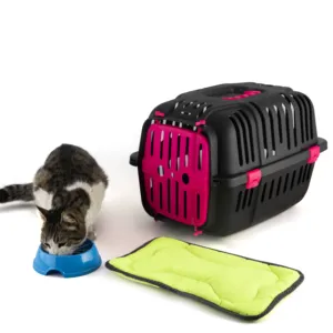 공장에서 고양이 가방 및 개 캐리어 상자 도매 고품질 플라스틱 TR 지속 가능한 애완 동물 캐리어