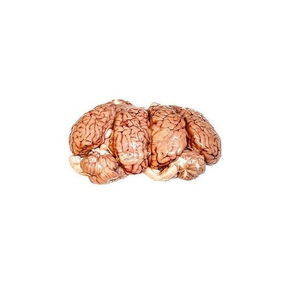 Demande client cerveau de boeuf de haute qualité meilleur prix - Product Image 2
