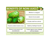 Verse Noni-sapconcentraat Nieuwe Productie - Natuurlijk Superfood Noni-sap Immuunversterker