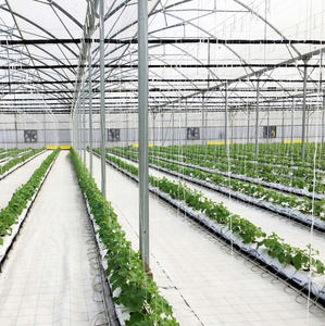 Premium Greenhouse Film For Seedling Nurseries Ensuring Soft <b>Light</b> Diffusion And Stable <b>Growing</b> Climate - Product Image 2