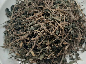 Hojas de Té de Pouzolzia Púrpura 100% Naturales de Vietnam, Sra. May - Product Image 3