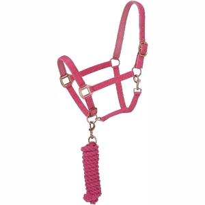 Nouveau 2025 dernier style cheval licou en gros équitation licou avec logo et taille personnalisés - Product Image 4