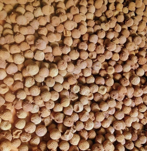 Rodajas de Lichi Vietnamitas Secas y Suaves, Hechas con Fruta Cuidadosamente Seleccionada para Refrigerios, Repostería y Mercados de Importación - Product Image 4