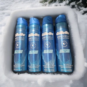 Desodorante Corporal en Aerosol Gillette, Desodorante Corporal Económico, Disponible para Suministro Desodorante Unisex Disponible en Todos los Tamaños, Servicio de Marca Privada OEM ODM - Product Image 2