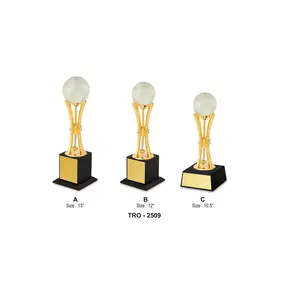 Trofeo del globo del mondo aziendale fatto a mano di dimensioni personalizzate per trofei di placche di Badminton dal trofeo del fornitore indiano