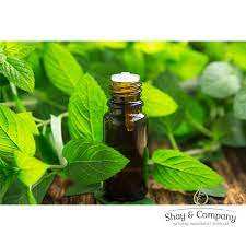 100% huile de menthe verte pure en gros huile de menthe verte essentielle en vrac huile naturelle et pure - Product Image 3