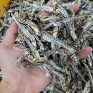 Vente chaude de poissons d'anchois séchés du Vietnam - Product Image 1