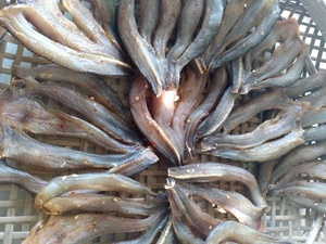 Peixe snakehead seco é o tipo mais vendido no mercado vietnamita - Product Image 4