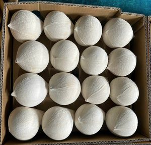 มะพร้าวสดทรงเพชรเนื้ออ่อนสดจากเวียดนามมะพร้าวสดฉ่ำส่งออกคุณภาพ - Product Image 4