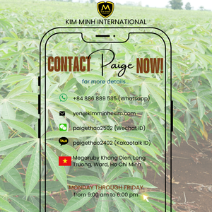 El mejor precio y calidad CASSAVA / TAPIOCA STUCH de Vietnam - Product Image 6