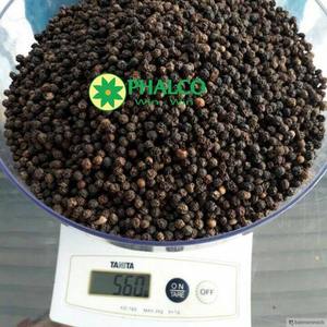 MÁQUINA DE PIMIENTA NEGRA DE VIETNAM LIMPIADA BOLD ASTA VIETNAM ORIGEN NUEVO CULTIVO - Product Image 2