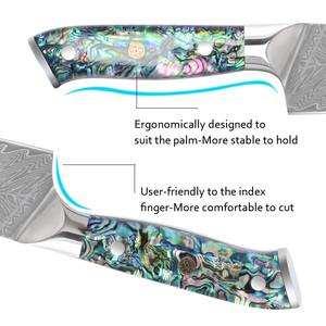 มีดเชฟเหล็กดามัสกัสใช้ในครัวด้ามเรซินใบมีดคมแบบกำหนดเองได้ - Product Image 5