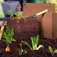 Blocs de tourbe de coco de haute qualité pour la culture des plantes